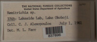 Image Associated With the Occurence
